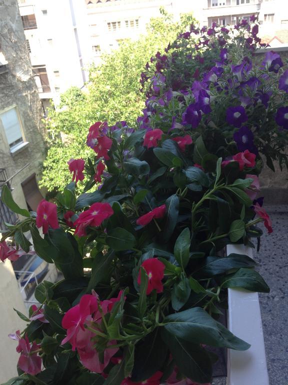 בלגרד Apartment Bohemian Rhapsody חדר תמונה